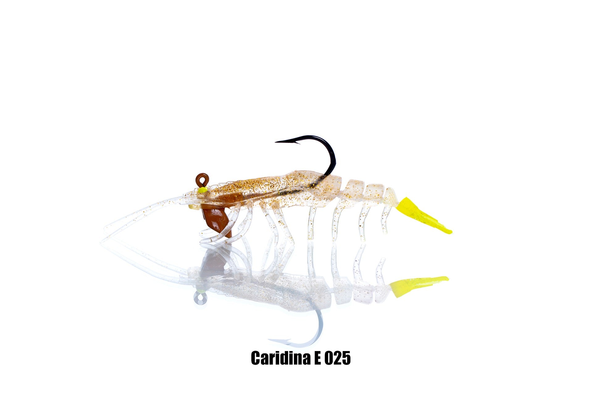 Pandora Caridina Karides