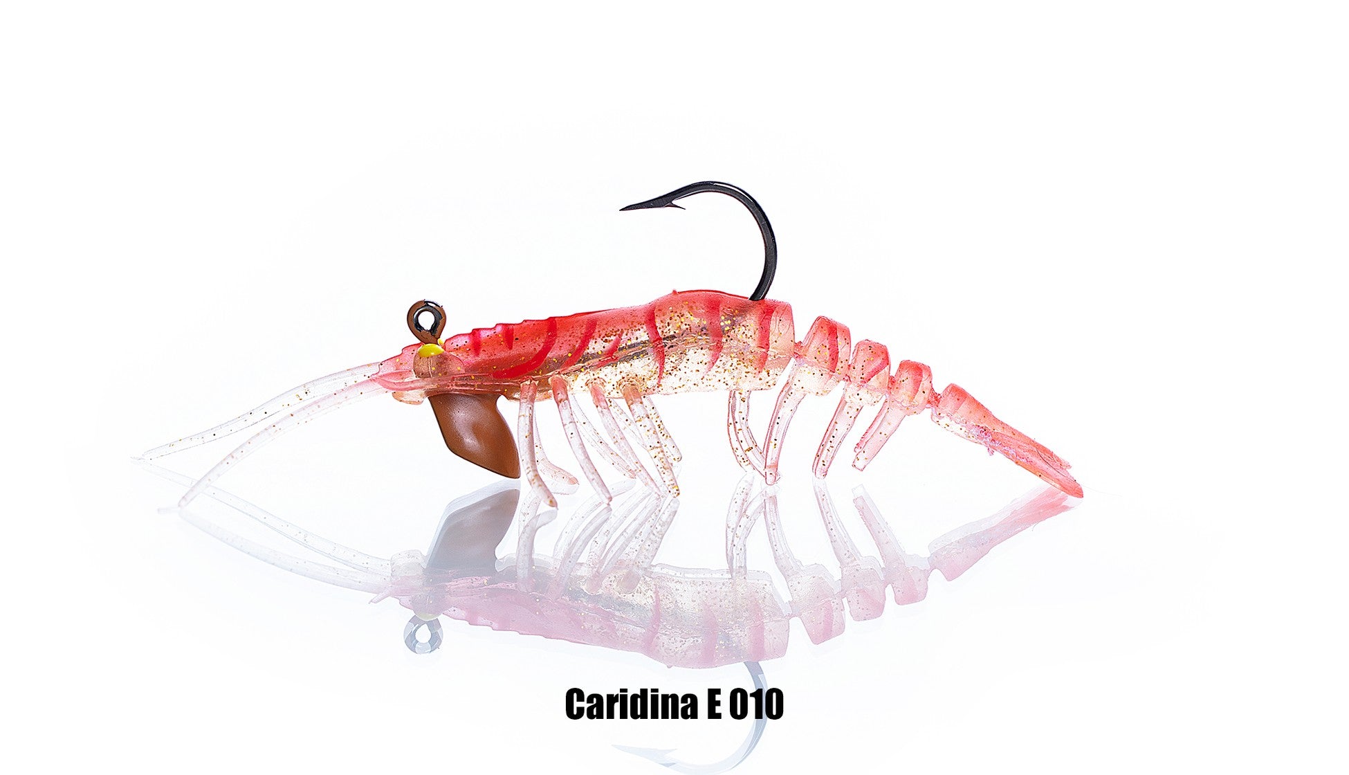 Pandora Caridina Karides