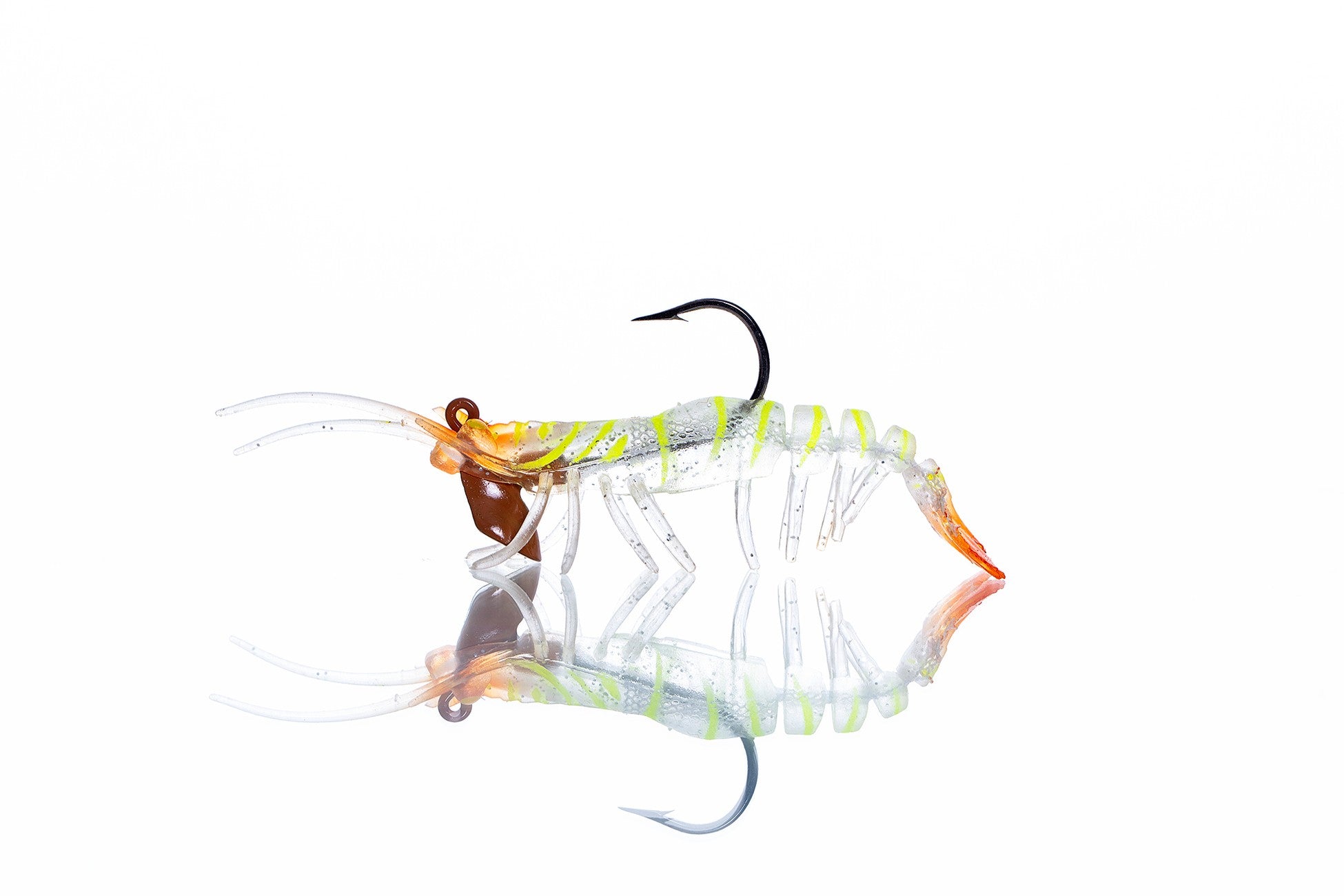 Pandora Caridina Karides