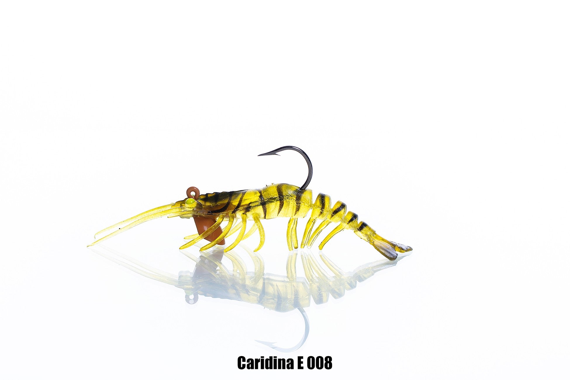 Pandora Caridina Karides