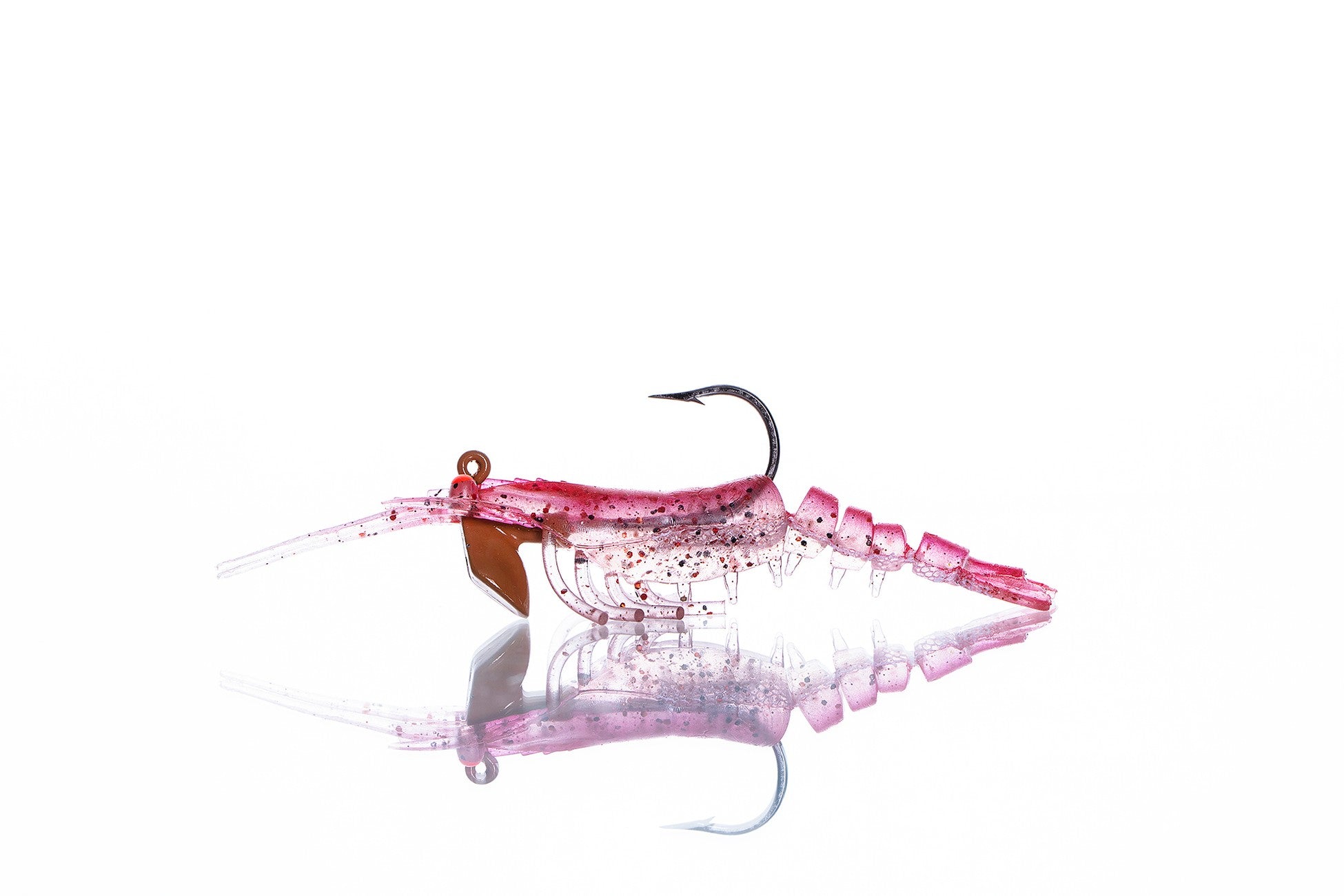 Pandora Caridina Karides