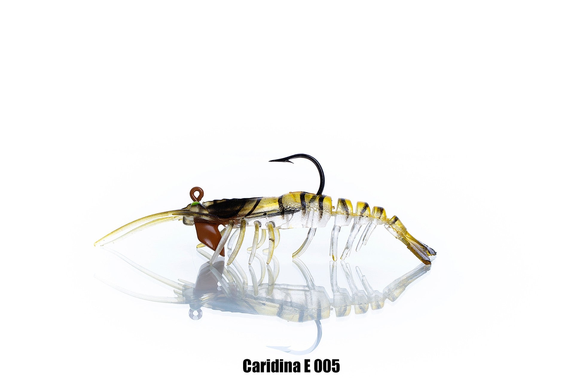 Pandora Caridina Karides