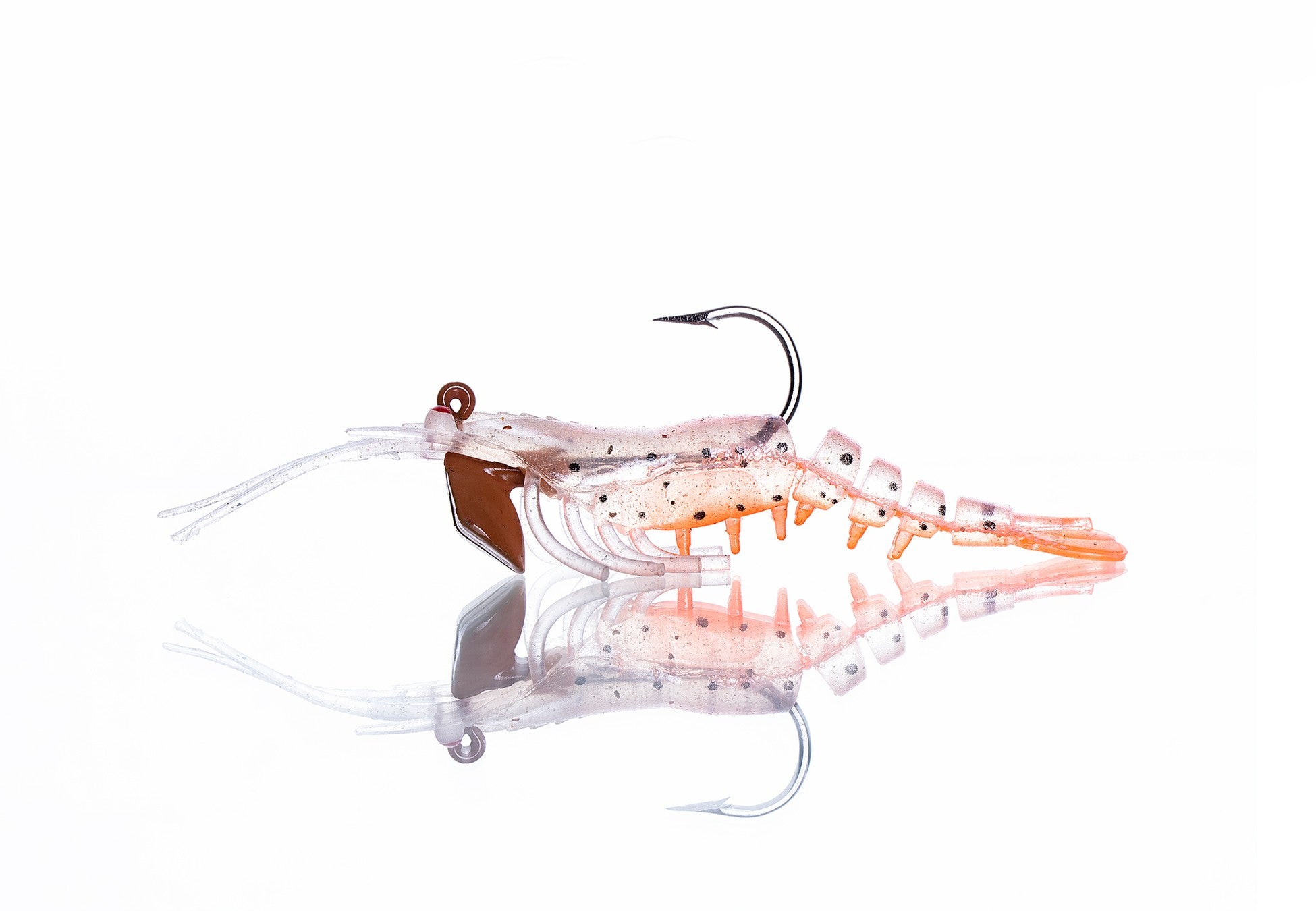 Pandora Caridina Karides