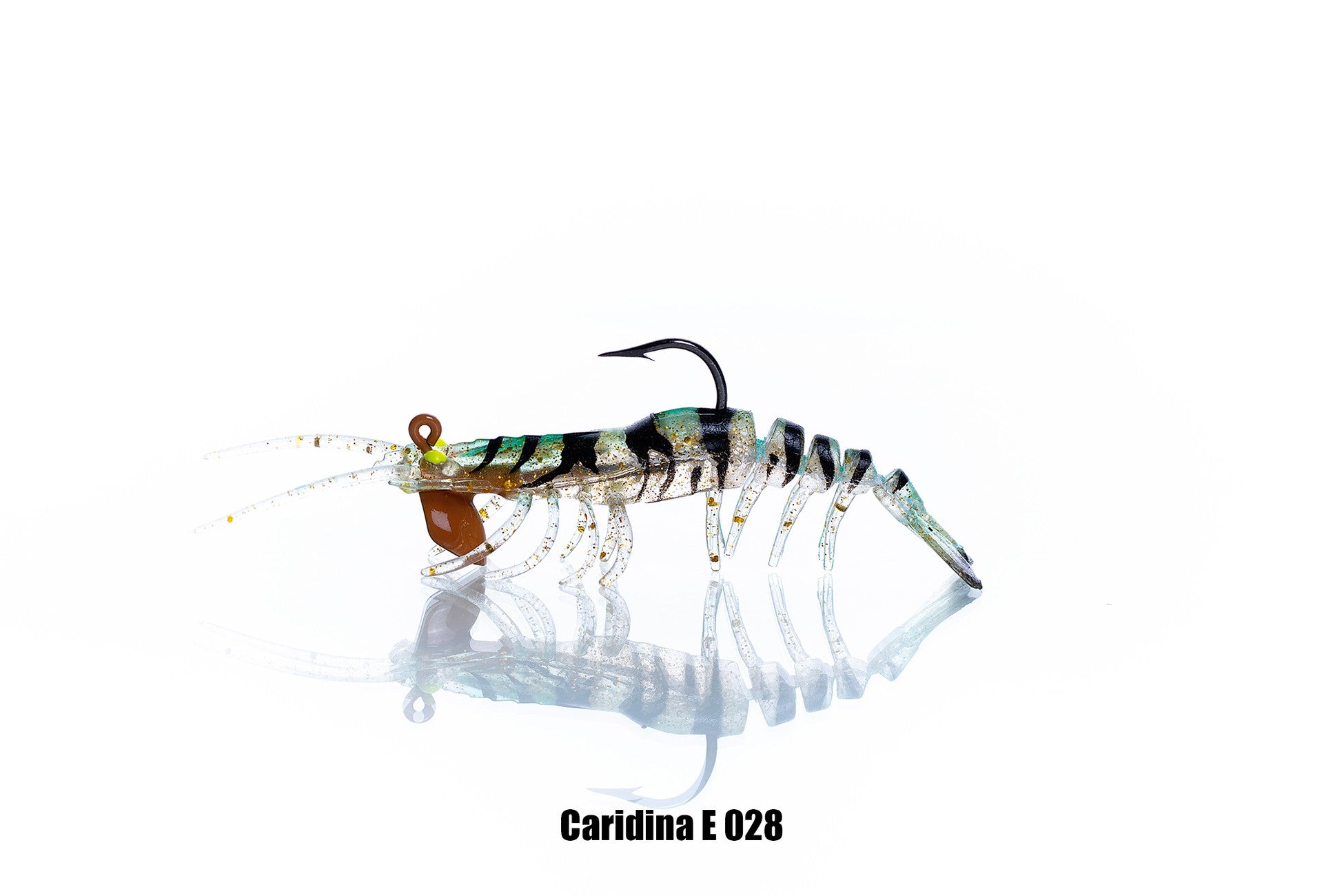 Pandora Caridina Karides